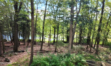 Entertainers delight inside and out with surprise lake view and on Lords Valley Country Club, Inc in Pennsylvania - for sale on GolfHomes.com, golf home, golf lot