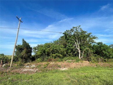 Land for Sale - 7936 Granada Blvd, Sebring, FL 33872
Build Your on Sun n Lake Golf and Country Club in Florida - for sale on GolfHomes.com, golf home, golf lot