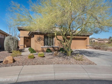 Privacy and Comfort All Rolled into One! This Oversized 2 on Anthem Golf and Country Club  in Arizona - for sale on GolfHomes.com, golf home, golf lot