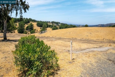 A backyard you need to see to believe. Tucked away in the on Lake Chabot Golf Course in California - for sale on GolfHomes.com, golf home, golf lot