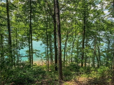 This home site offers the elevation to enjoy the unobstructed on The Reserve At Lake Keowee in South Carolina - for sale on GolfHomes.com, golf home, golf lot
