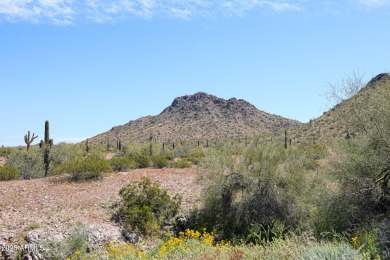 A rare offering, ''Desert Island'' at Estrella is the only on Estrella Mountain Ranch Golf Course in Arizona - for sale on GolfHomes.com, golf home, golf lot