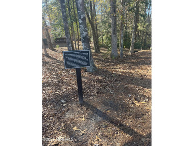 Great opportunity to build your dream home on this golf front on Carolina National Golf Club in North Carolina - for sale on GolfHomes.com, golf home, golf lot