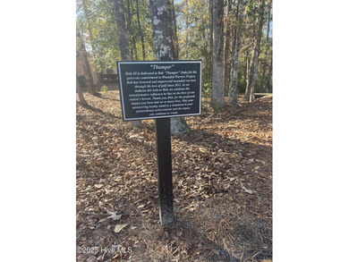 Great opportunity to build your dream home on this golf front on Carolina National Golf Club in North Carolina - for sale on GolfHomes.com, golf home, golf lot