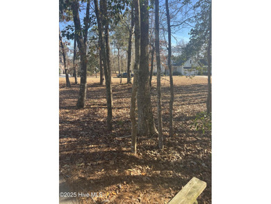 Great opportunity to build your dream home on this golf front on Carolina National Golf Club in North Carolina - for sale on GolfHomes.com, golf home, golf lot