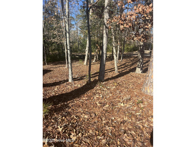 Great opportunity to build your dream home on this golf front on Carolina National Golf Club in North Carolina - for sale on GolfHomes.com, golf home, golf lot