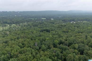 Gorgeous property located in the prestigious Shoal Creek on Shoal Creek Golf Course in Alabama - for sale on GolfHomes.com, golf home, golf lot
