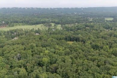 Gorgeous property located in the prestigious Shoal Creek on Shoal Creek Golf Course in Alabama - for sale on GolfHomes.com, golf home, golf lot