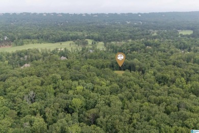 Gorgeous property located in the prestigious Shoal Creek on Shoal Creek Golf Course in Alabama - for sale on GolfHomes.com, golf home, golf lot
