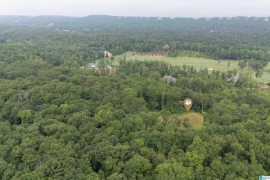 Gorgeous property located in the prestigious Shoal Creek on Shoal Creek Golf Course in Alabama - for sale on GolfHomes.com, golf home, golf lot