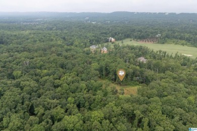 Gorgeous property located in the prestigious Shoal Creek on Shoal Creek Golf Course in Alabama - for sale on GolfHomes.com, golf home, golf lot