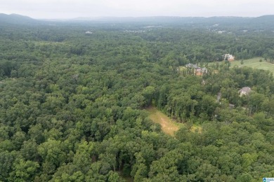 Gorgeous property located in the prestigious Shoal Creek on Shoal Creek Golf Course in Alabama - for sale on GolfHomes.com, golf home, golf lot