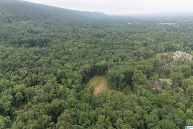 Gorgeous property located in the prestigious Shoal Creek on Shoal Creek Golf Course in Alabama - for sale on GolfHomes.com, golf home, golf lot