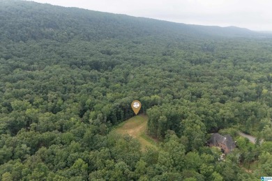 Gorgeous property located in the prestigious Shoal Creek on Shoal Creek Golf Course in Alabama - for sale on GolfHomes.com, golf home, golf lot