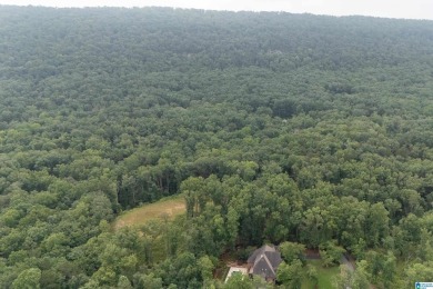 Gorgeous property located in the prestigious Shoal Creek on Shoal Creek Golf Course in Alabama - for sale on GolfHomes.com, golf home, golf lot