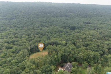 Gorgeous property located in the prestigious Shoal Creek on Shoal Creek Golf Course in Alabama - for sale on GolfHomes.com, golf home, golf lot