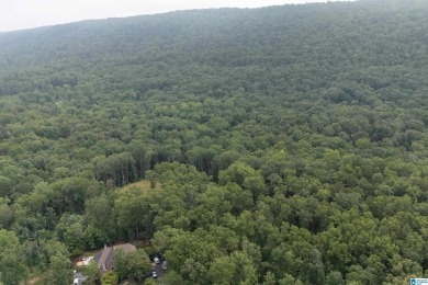 Gorgeous property located in the prestigious Shoal Creek on Shoal Creek Golf Course in Alabama - for sale on GolfHomes.com, golf home, golf lot