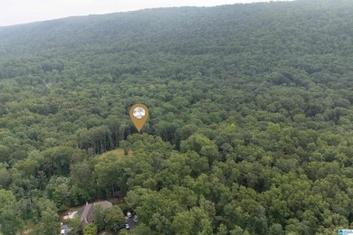 Gorgeous property located in the prestigious Shoal Creek on Shoal Creek Golf Course in Alabama - for sale on GolfHomes.com, golf home, golf lot