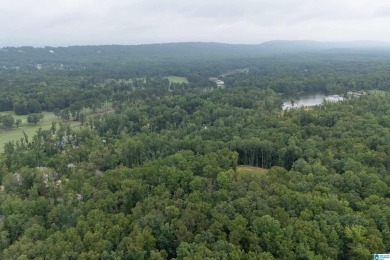 Gorgeous property located in the prestigious Shoal Creek on Shoal Creek Golf Course in Alabama - for sale on GolfHomes.com, golf home, golf lot