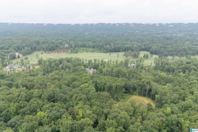 Gorgeous property located in the prestigious Shoal Creek on Shoal Creek Golf Course in Alabama - for sale on GolfHomes.com, golf home, golf lot