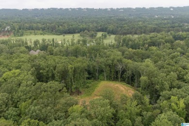 Gorgeous property located in the prestigious Shoal Creek on Shoal Creek Golf Course in Alabama - for sale on GolfHomes.com, golf home, golf lot