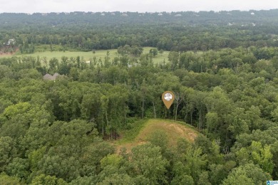 Gorgeous property located in the prestigious Shoal Creek on Shoal Creek Golf Course in Alabama - for sale on GolfHomes.com, golf home, golf lot