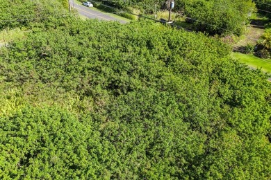 Nice corner lot on Wakea. Ocean views.Turn off of Kamaoa Rd onto on Discovery Harbour Golf Course in Hawaii - for sale on GolfHomes.com, golf home, golf lot