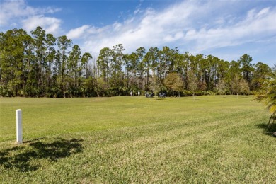 Reduced Price! Below Market! Move right in and watch stunning on Grand Reserve Golf Course in Florida - for sale on GolfHomes.com, golf home, golf lot