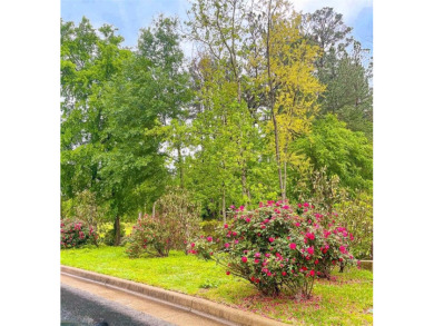 2198 Pinehurst St is a rare vacant lot in the highly on Hollytree Country Club in Texas - for sale on GolfHomes.com, golf home, golf lot
