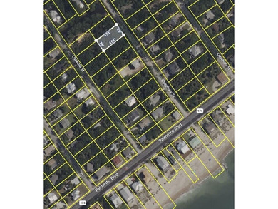 The Best Lot available on Edisto Beach with direct beach access on The Plantation Course At Edisto in South Carolina - for sale on GolfHomes.com, golf home, golf lot