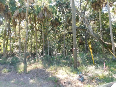 The Best Lot available on Edisto Beach with direct beach access on The Plantation Course At Edisto in South Carolina - for sale on GolfHomes.com, golf home, golf lot