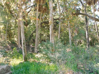 The Best Lot available on Edisto Beach with direct beach access on The Plantation Course At Edisto in South Carolina - for sale on GolfHomes.com, golf home, golf lot
