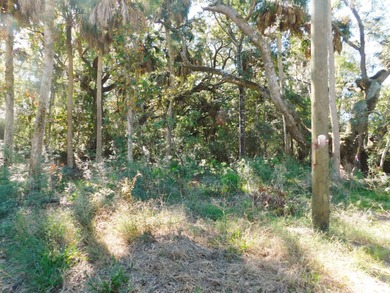 The Best Lot available on Edisto Beach with direct beach access on The Plantation Course At Edisto in South Carolina - for sale on GolfHomes.com, golf home, golf lot