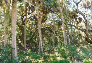 The Best Lot available on Edisto Beach with direct beach access on The Plantation Course At Edisto in South Carolina - for sale on GolfHomes.com, golf home, golf lot