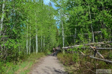Discover a rare opportunity to own an elevated cabin lot in one on Teton Springs Resort and Club in Idaho - for sale on GolfHomes.com, golf home, golf lot