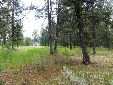 Beautiful lot with great location on Jug Mtn Ranch Golf Course on Jug Mountain Ranch Golf Course in Idaho - for sale on GolfHomes.com, golf home, golf lot