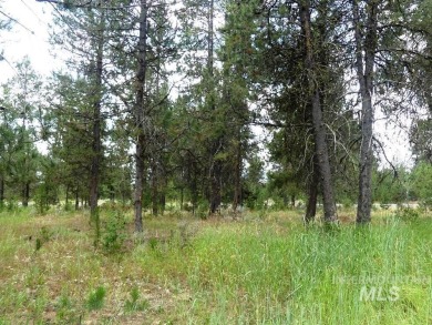 Beautiful lot with great location on Jug Mtn Ranch Golf Course on Jug Mountain Ranch Golf Course in Idaho - for sale on GolfHomes.com, golf home, golf lot