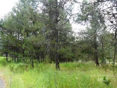 Beautiful lot with great location on Jug Mtn Ranch Golf Course on Jug Mountain Ranch Golf Course in Idaho - for sale on GolfHomes.com, golf home, golf lot