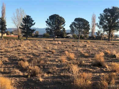 Great location in Valle Vista  on #14 tee box.  What a view in on Valle Vista Golf Course in Arizona - for sale on GolfHomes.com, golf home, golf lot