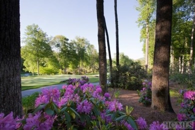 This lot offers a beautiful setting with expansive mountain on Old Edwards Club in North Carolina - for sale on GolfHomes.com, golf home, golf lot