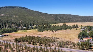 Located just 15 minutes from downtown Klamath Falls, the Round on Round Lake Resort in Oregon - for sale on GolfHomes.com, golf home, golf lot