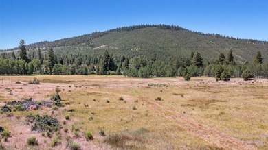 Located just 15 minutes from downtown Klamath Falls, the Round on Round Lake Resort in Oregon - for sale on GolfHomes.com, golf home, golf lot