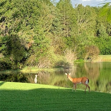 This home is enhanced by a host of premium updates for peace of on TPC of Tampa Bay in Florida - for sale on GolfHomes.com, golf home, golf lot