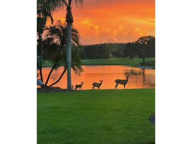 This home is enhanced by a host of premium updates for peace of on TPC of Tampa Bay in Florida - for sale on GolfHomes.com, golf home, golf lot