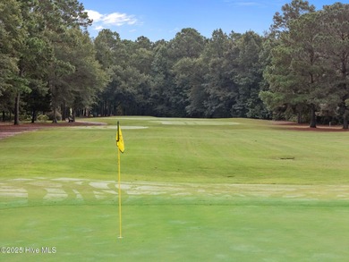 Welcome to 1105 Greensview Circle, a low-maintenance townhome in on Magnolia Greens Golf Plantation in North Carolina - for sale on GolfHomes.com, golf home, golf lot