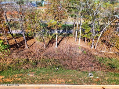 This lot in Tennessee National is perfect for a house with a on Tennessee National Golf Club in Tennessee - for sale on GolfHomes.com, golf home, golf lot