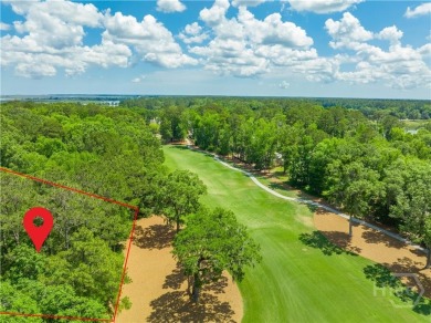 Welcome to 213 Little Lulu Lane--a beautifully crafted 2-bedroom on The Ford Field and River Club  in Georgia - for sale on GolfHomes.com, golf home, golf lot