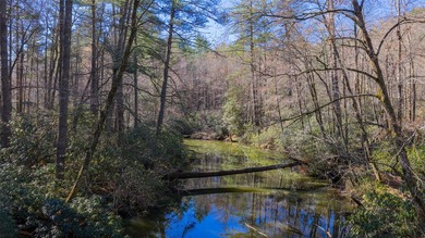 If you have ever wanted to own your own private river front lot on Burlingame Country Club in North Carolina - for sale on GolfHomes.com, golf home, golf lot