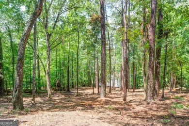 Gorgeous year-round water view lot located in Turtle Cove. Enjoy on Turtle Cove Golf Course in Georgia - for sale on GolfHomes.com, golf home, golf lot