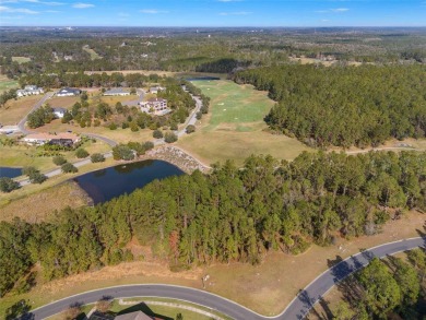 Almost 1/2 acre lot in the stunning Golf Course community of on Southern Hills Plantation Club in Florida - for sale on GolfHomes.com, golf home, golf lot